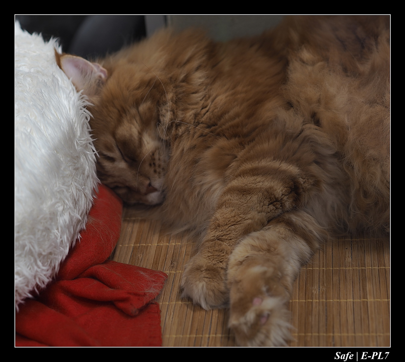 2020 - 02 - Salon agriculture 27